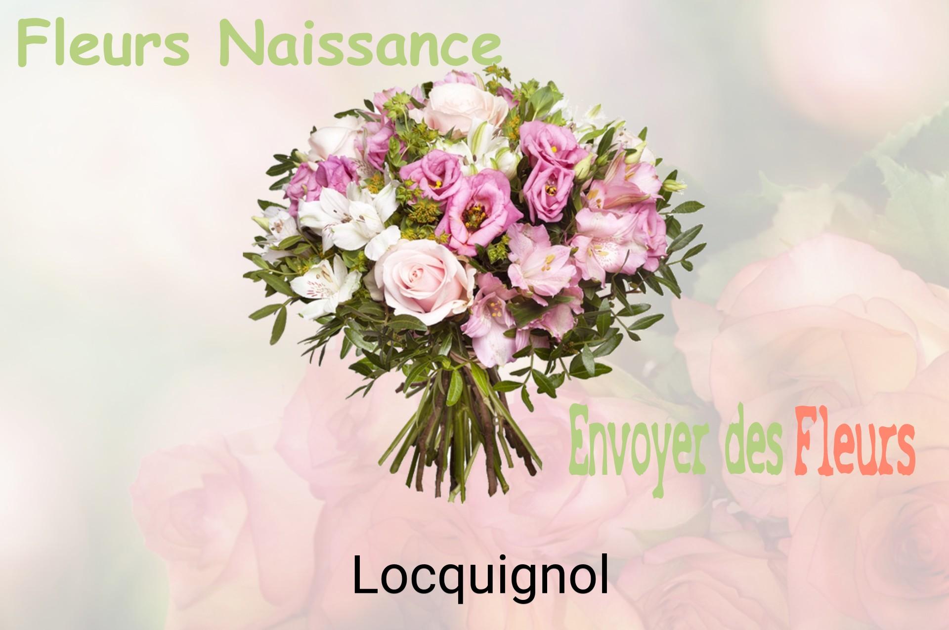 Bouquet de fleurs de naissance livré à Locquignol